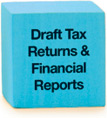 Draft Tax Returns & Financial Reports