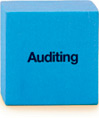 Auditing